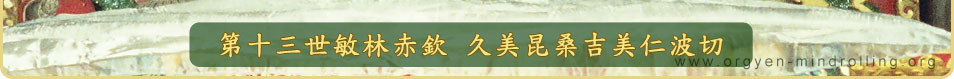 第十三世敏林赤欽仁波切‧H.H. 13th Minling Trichen Gyurmey Kunzang Jigmey Rinpoche